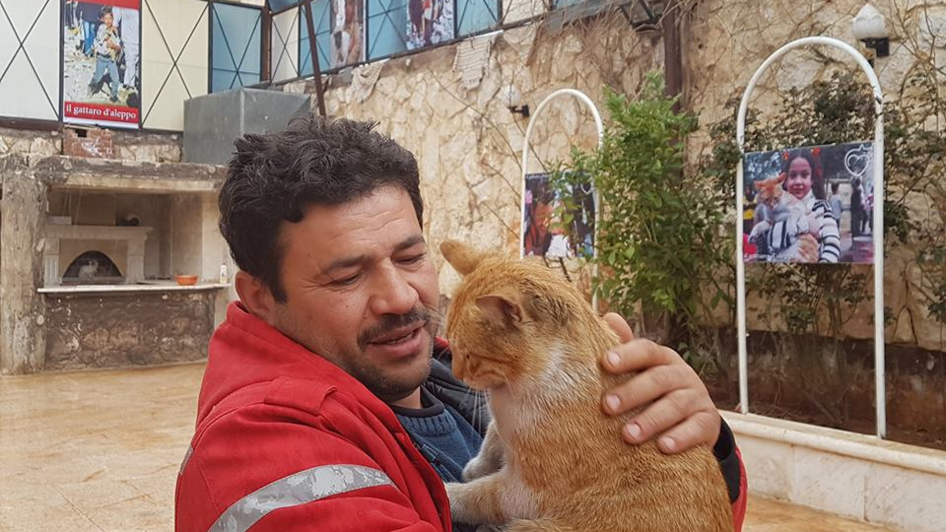 Abrigo para animais do 'homem dos gatos de Aleppo' foi destruído