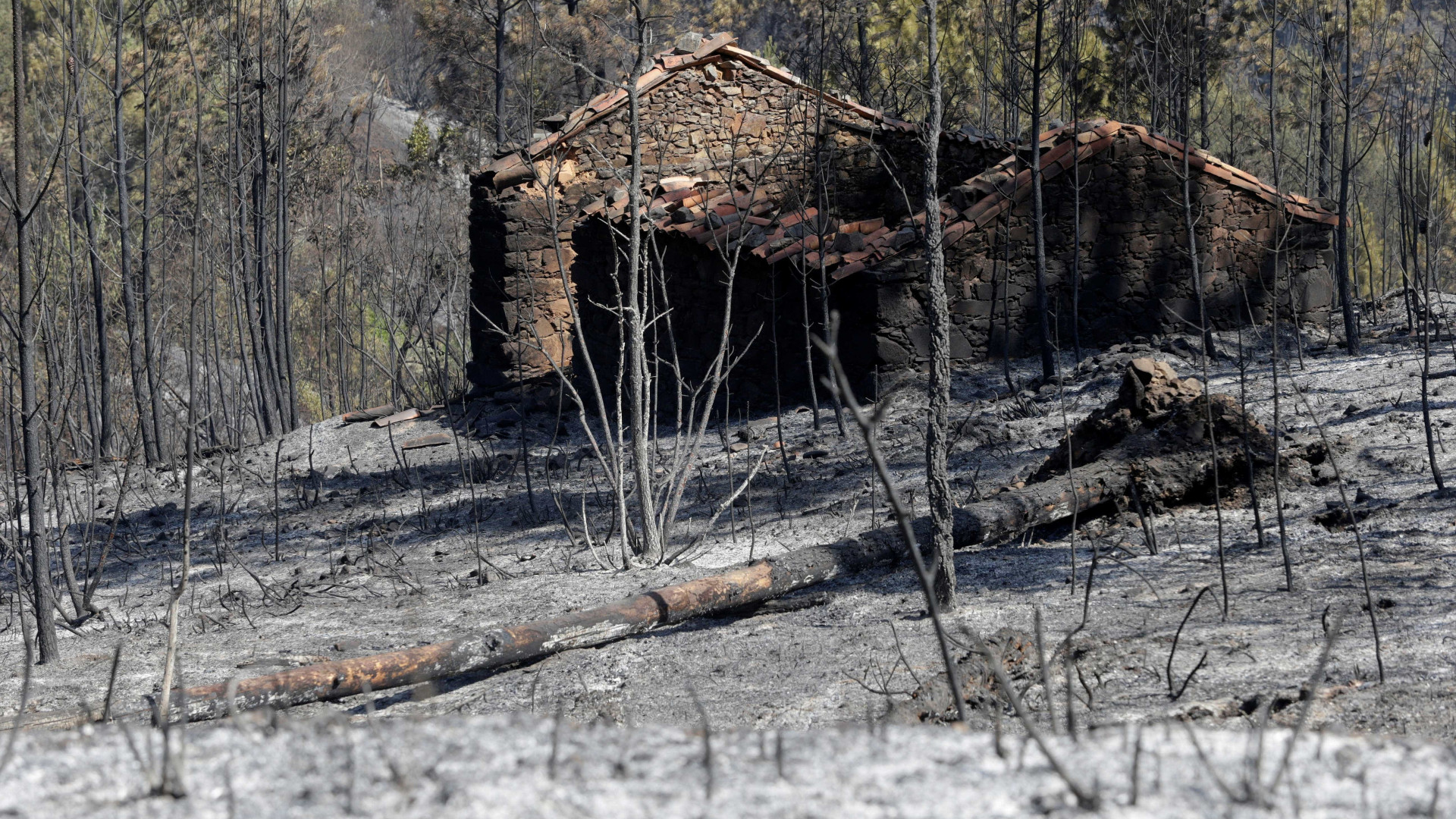 PJ em Pedrógão Grande a pedido da Câmara, diz autarquia