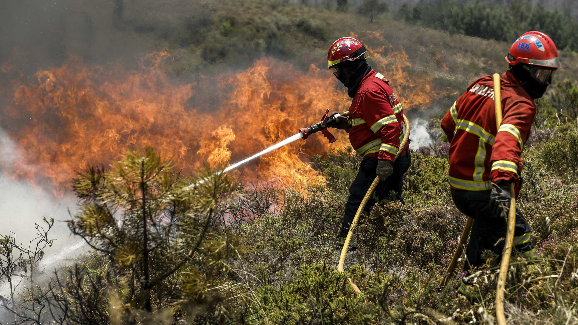 Risco máximo de incêndio no interior, Minho, Douro Litoral e Alentejo