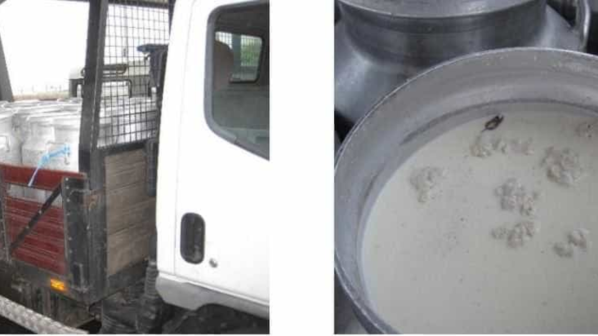Resultado de imagem para ASAE fiscaliza explorações pecuárias que usavam água oxigenada no leite