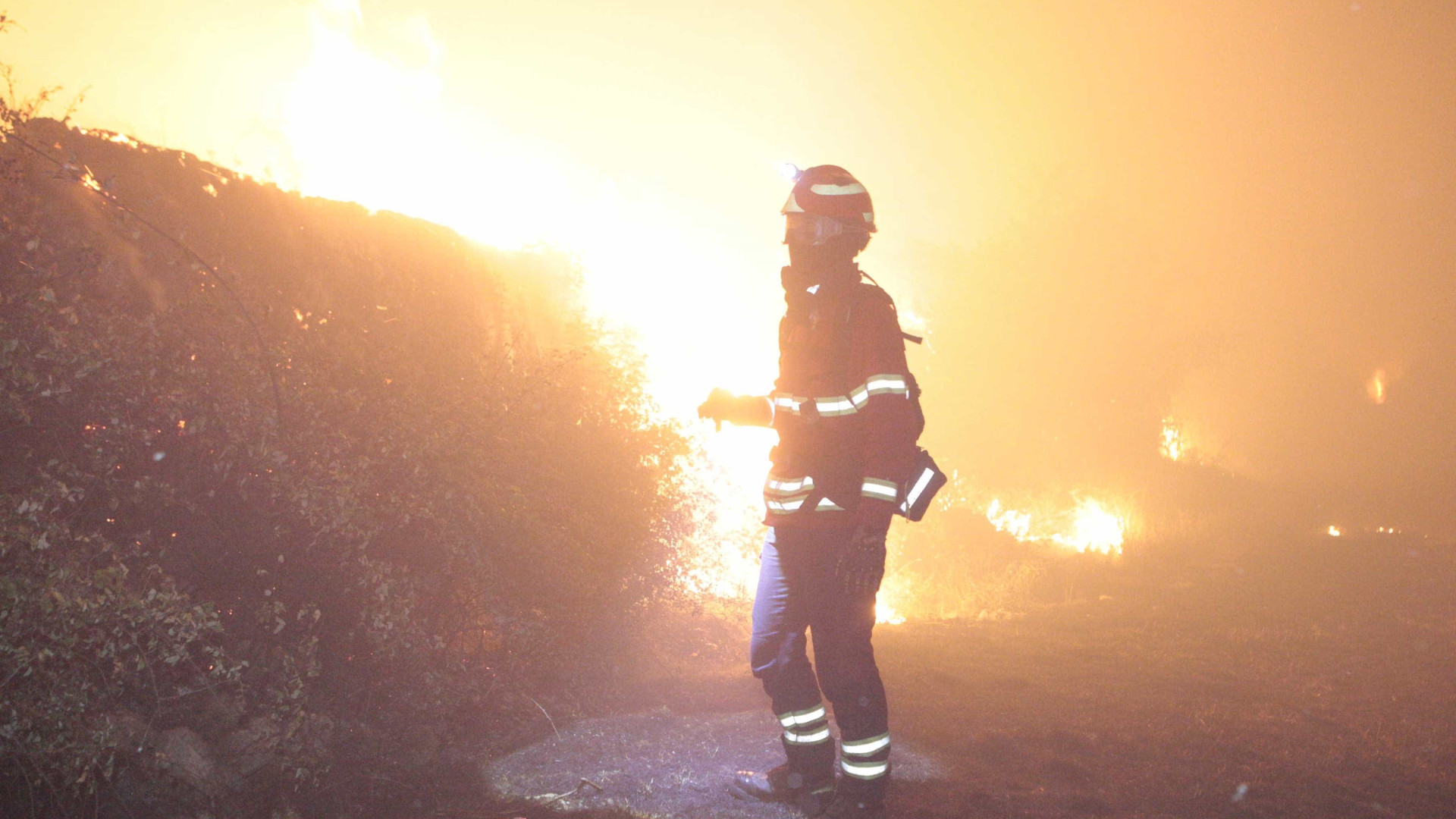 Incêndio com duas frentes lavra com intensidade em Ferreira do Zêzere