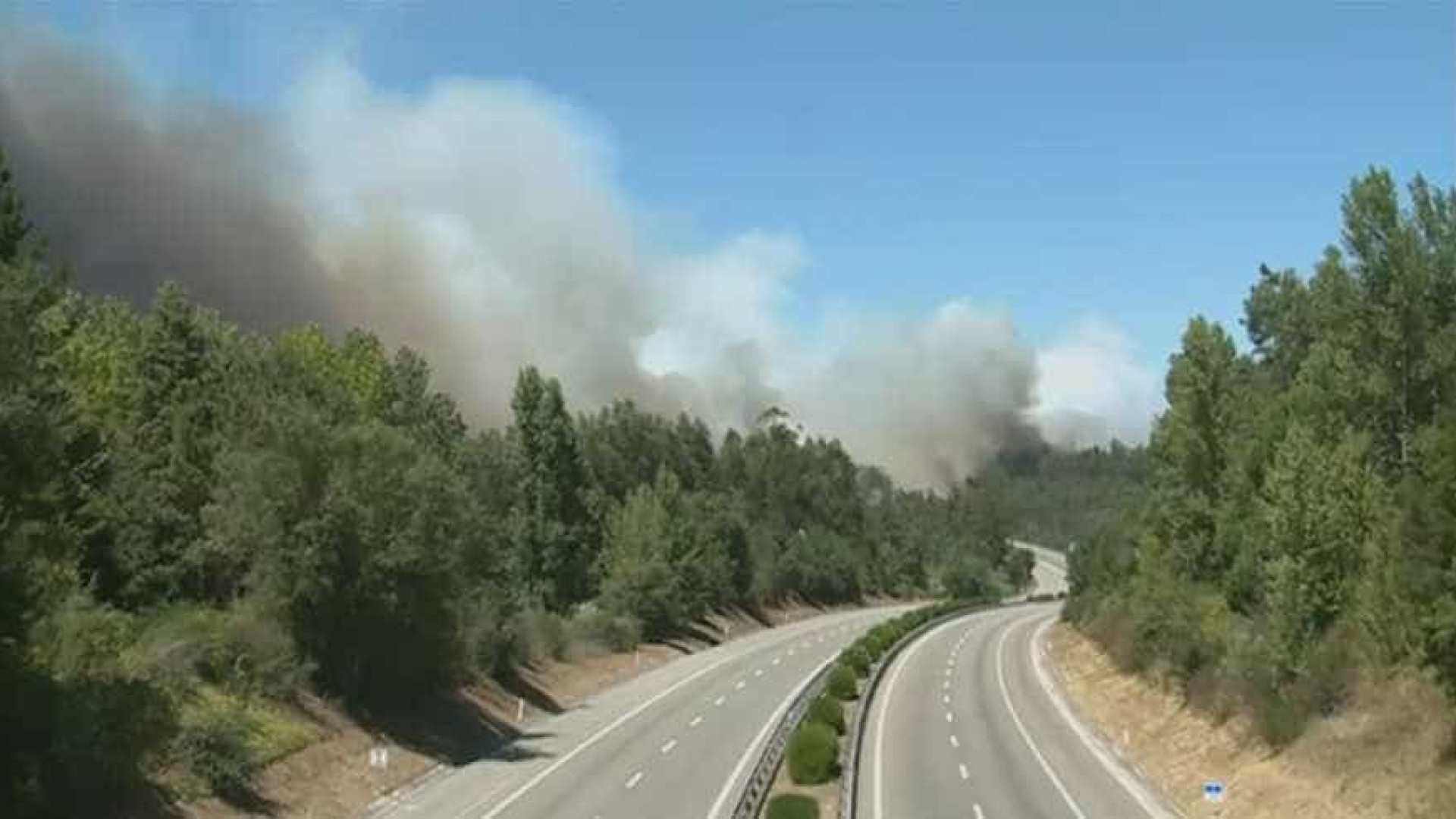 A1 cortada nos dois sentidos na zona da Mealhada devido a incêndio
