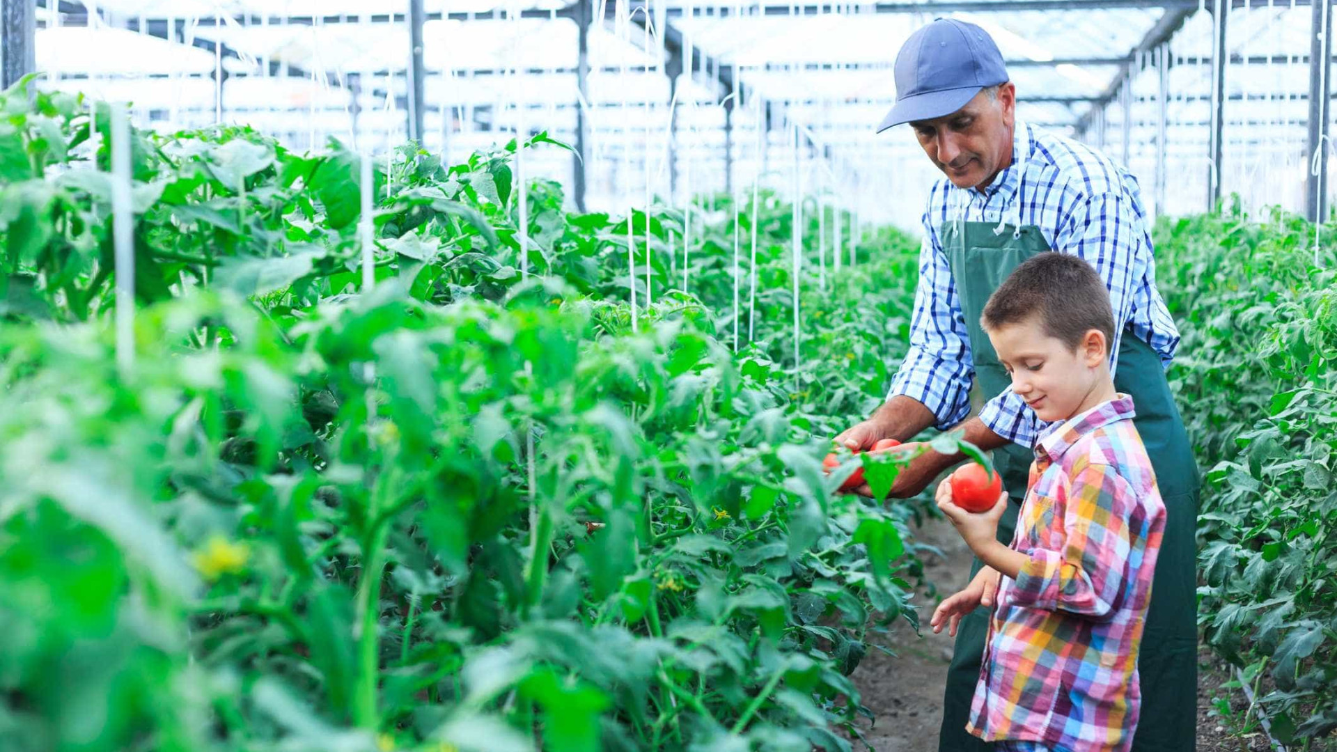 Mais de 4 mil crianças contactaram hoje com atividades agrícolas