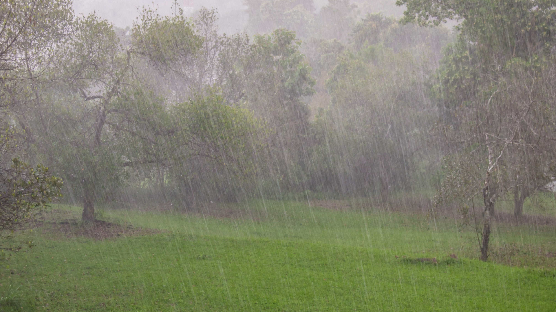 Interação de ciclones tropicais mantém aviso de chuva nos Açores