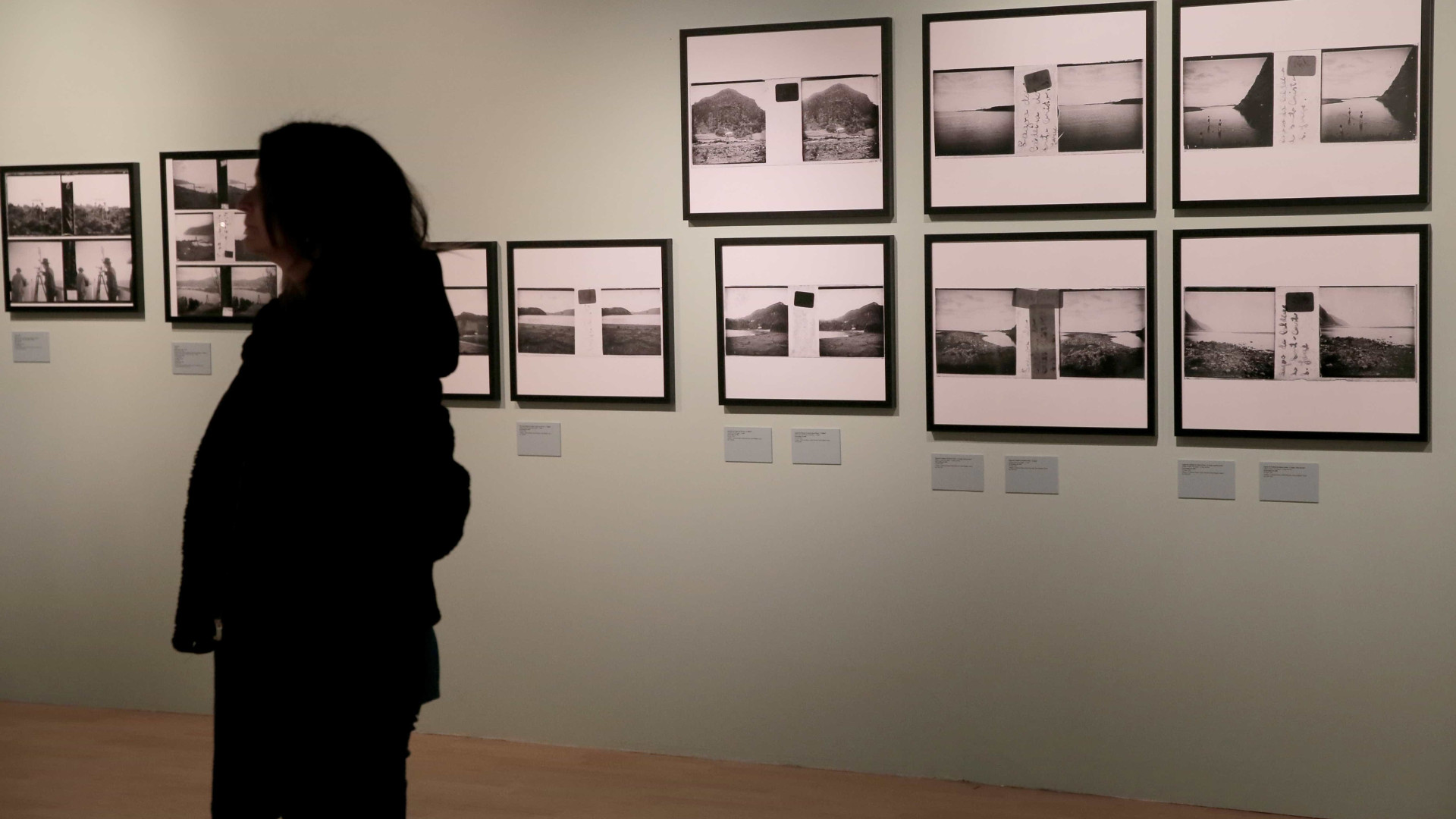 Lançado catálogo das exposições dedicadas a Francisco Afonso Chaves
