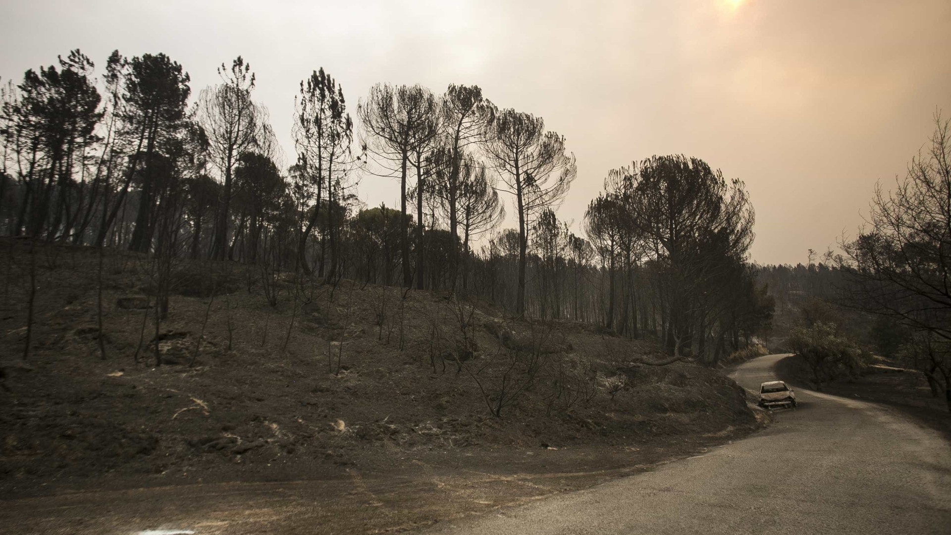Parlamento recomenda alargamento de apoios a todos os concelhos afetados