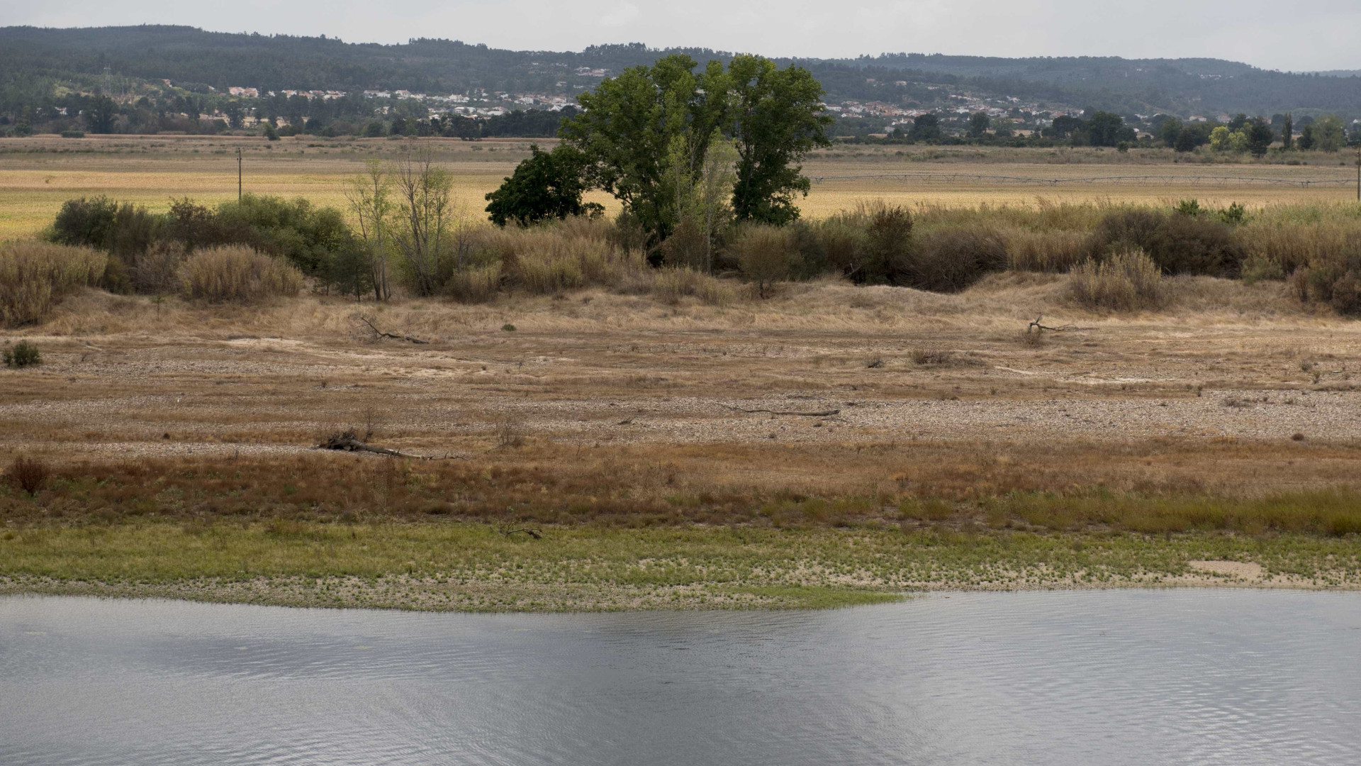 Cientista defende que falta de água é o principal problema do rio Tejo