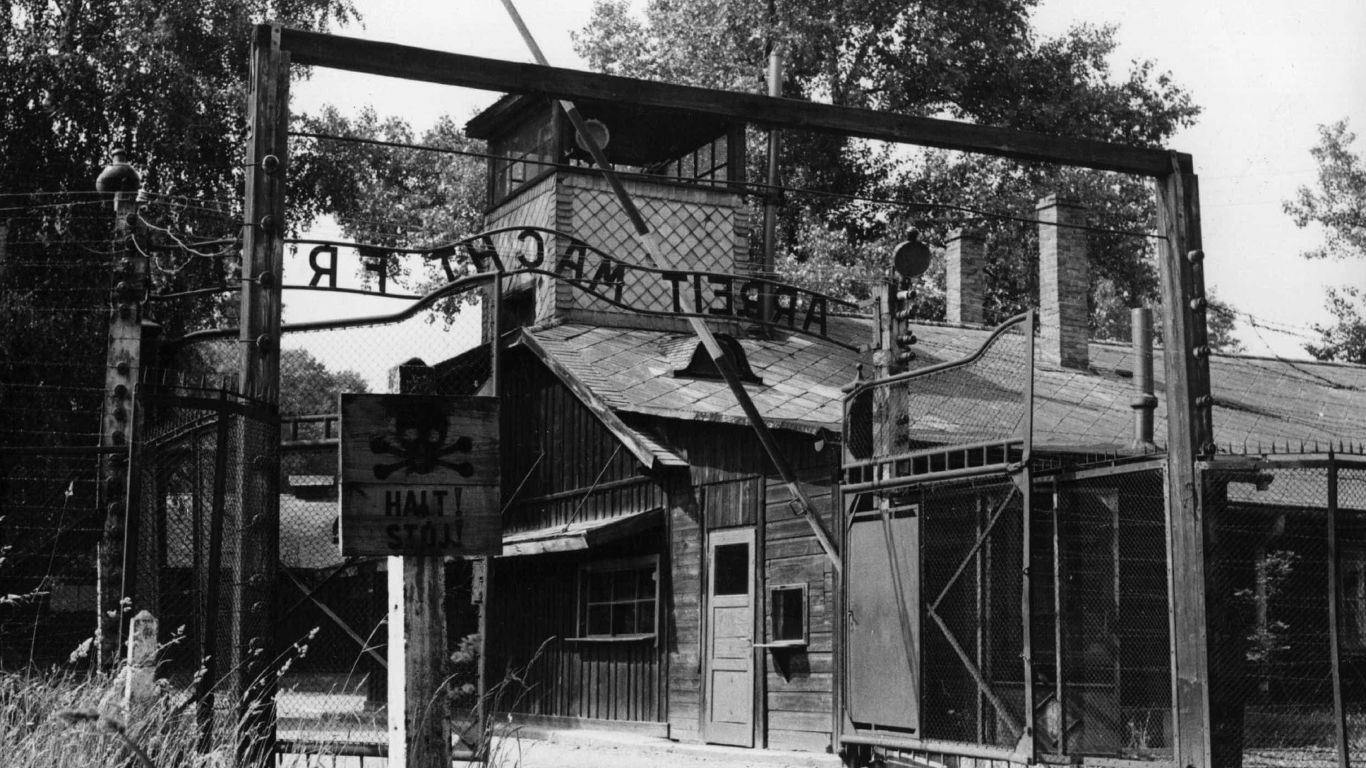 Estudantes de Pombal viajam de comboio até Auschwitz
