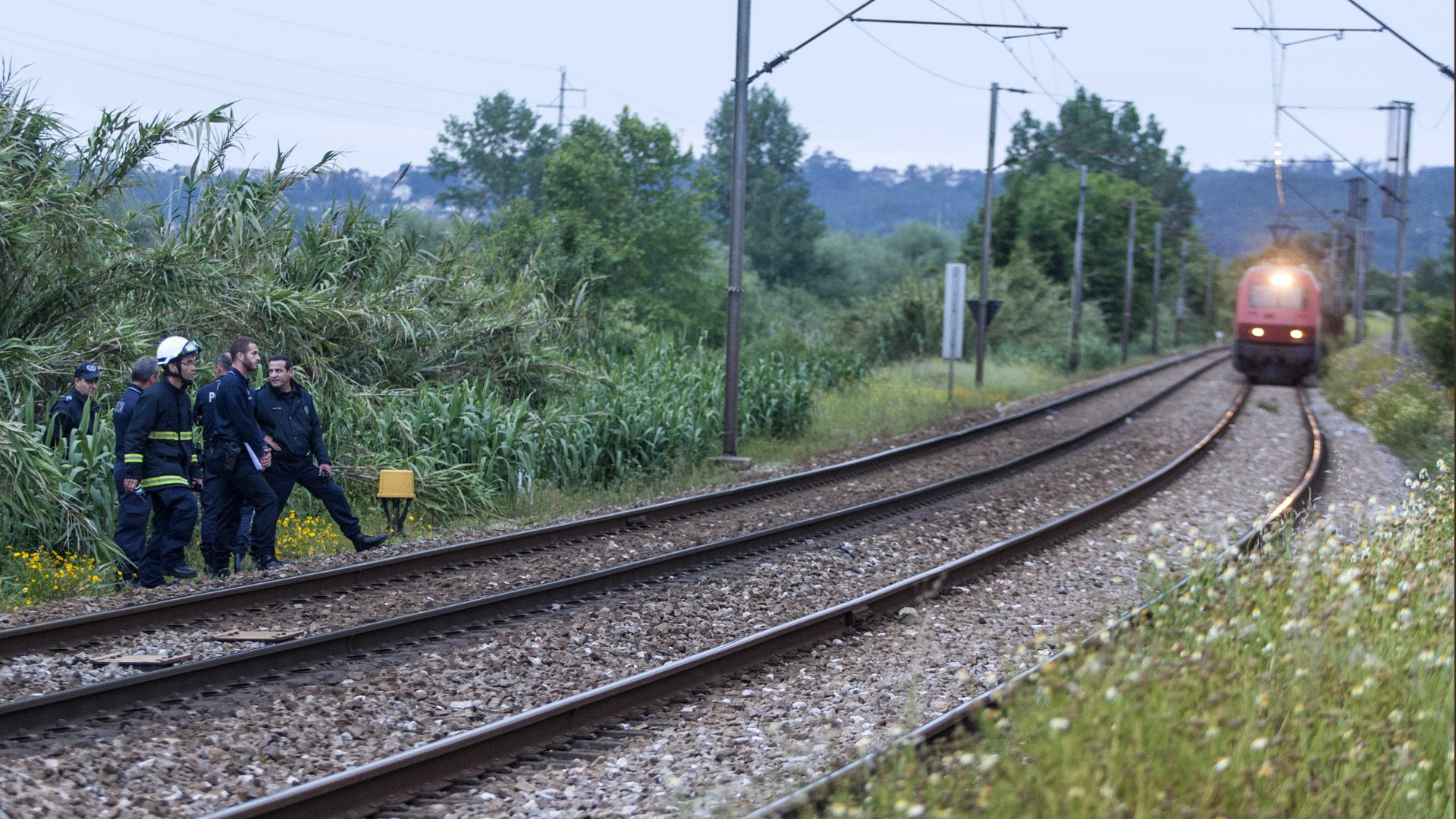 Atropelamento mortal condiciona circulação ferroviária em Rio Tinto