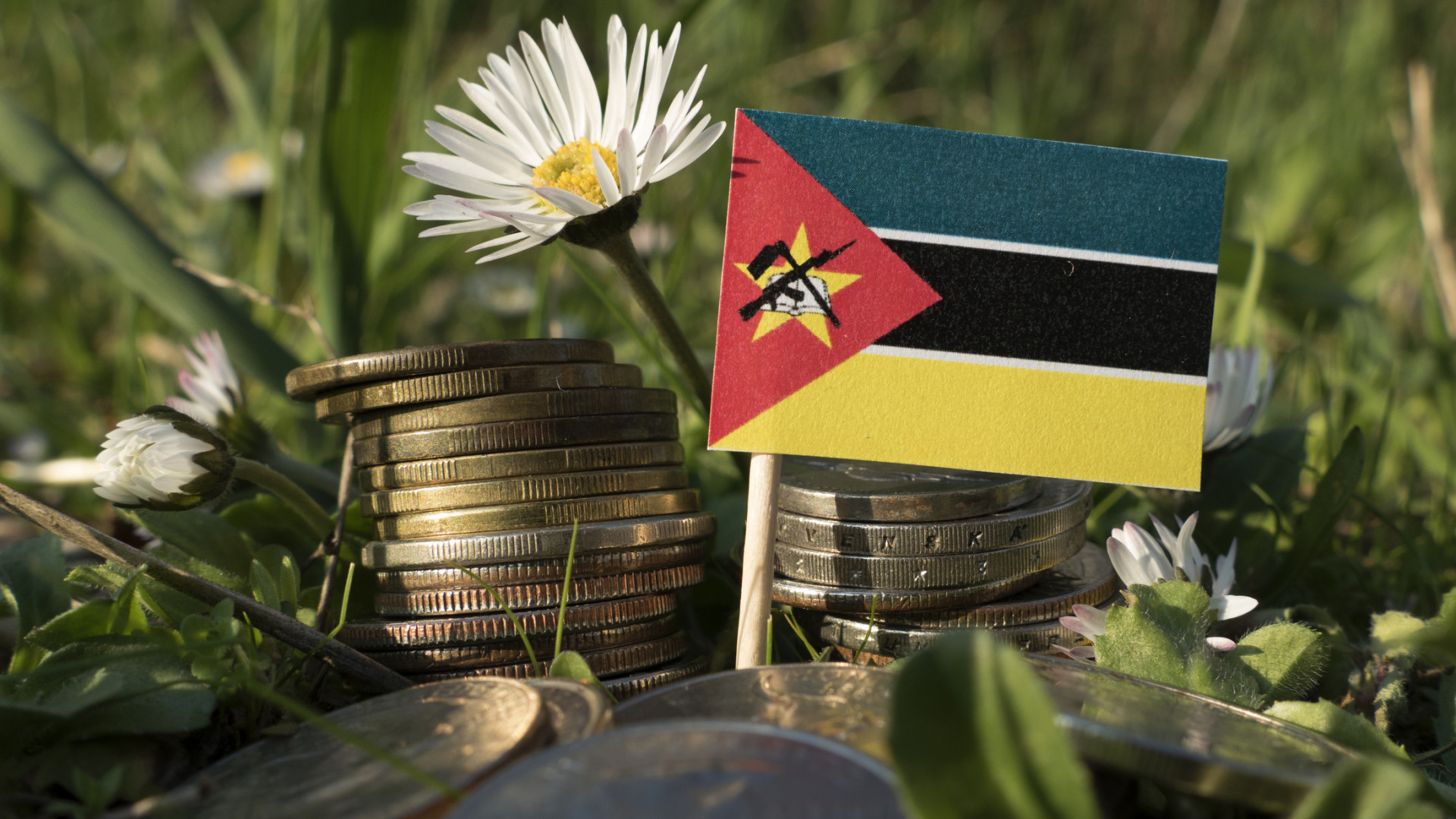 Quebra do fluxo de investimento de Portugal para Moçambique desvalorizada