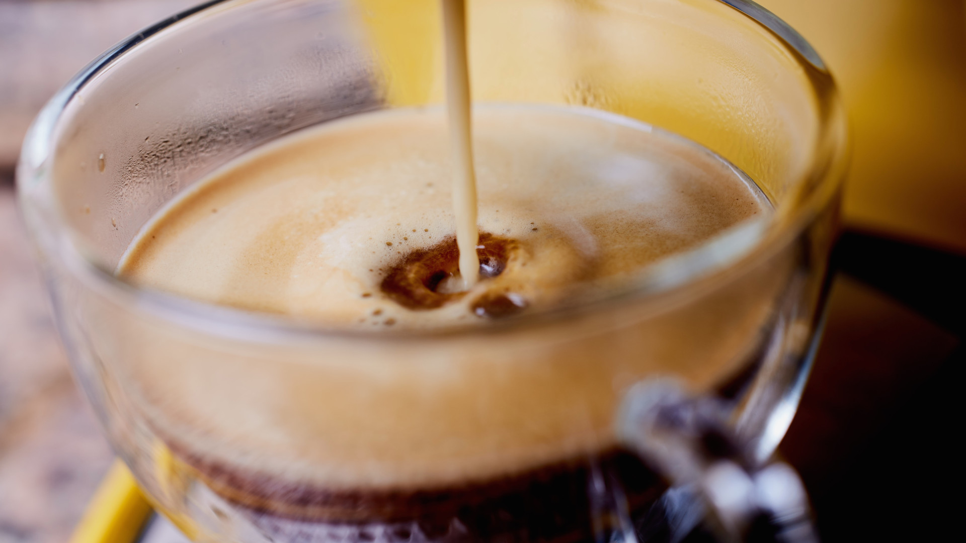 Baristas competem em Aveiro para tirar o melhor café