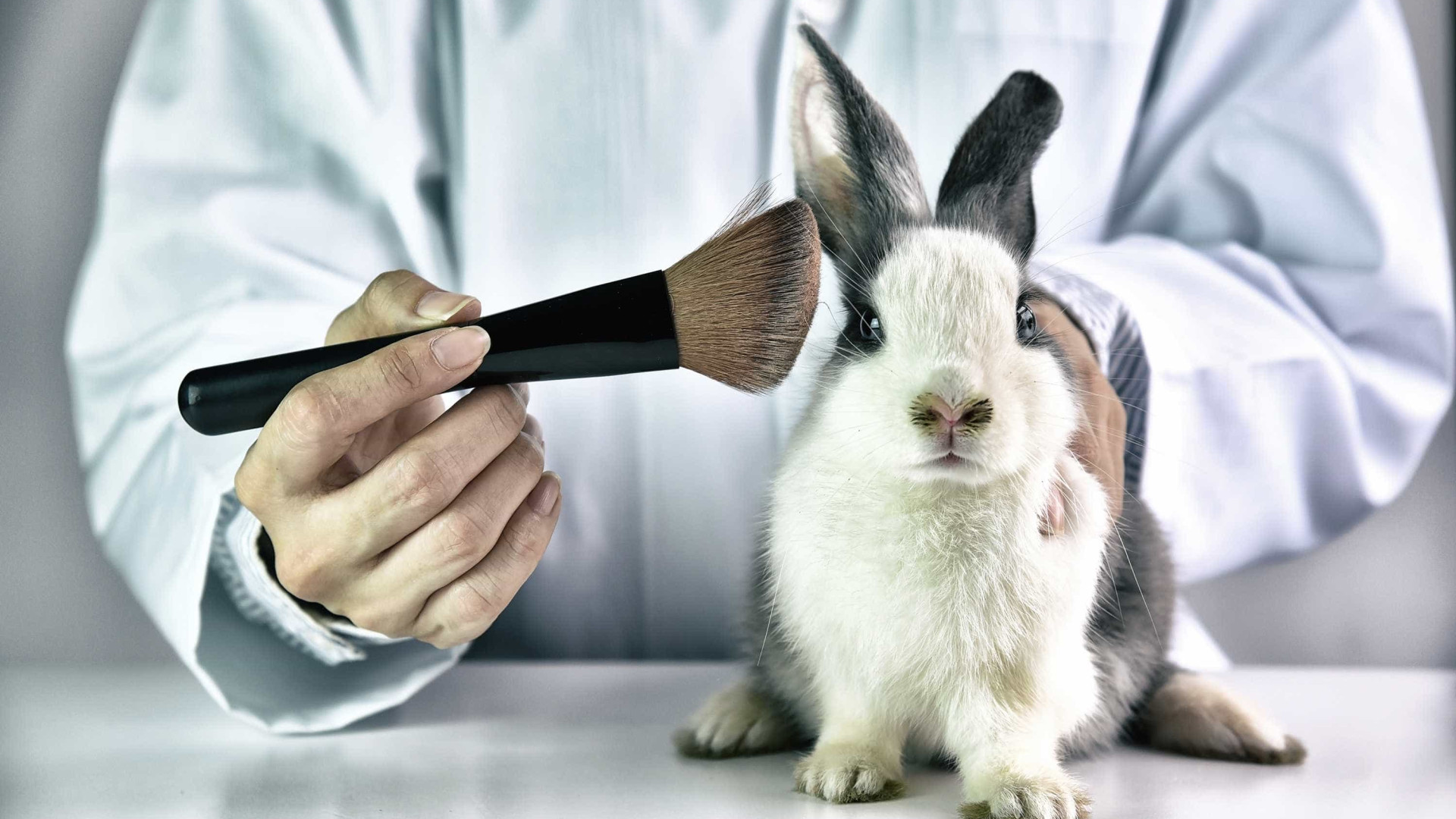 "Há quem não sinta empatia por animais alvo de testes em laboratório"