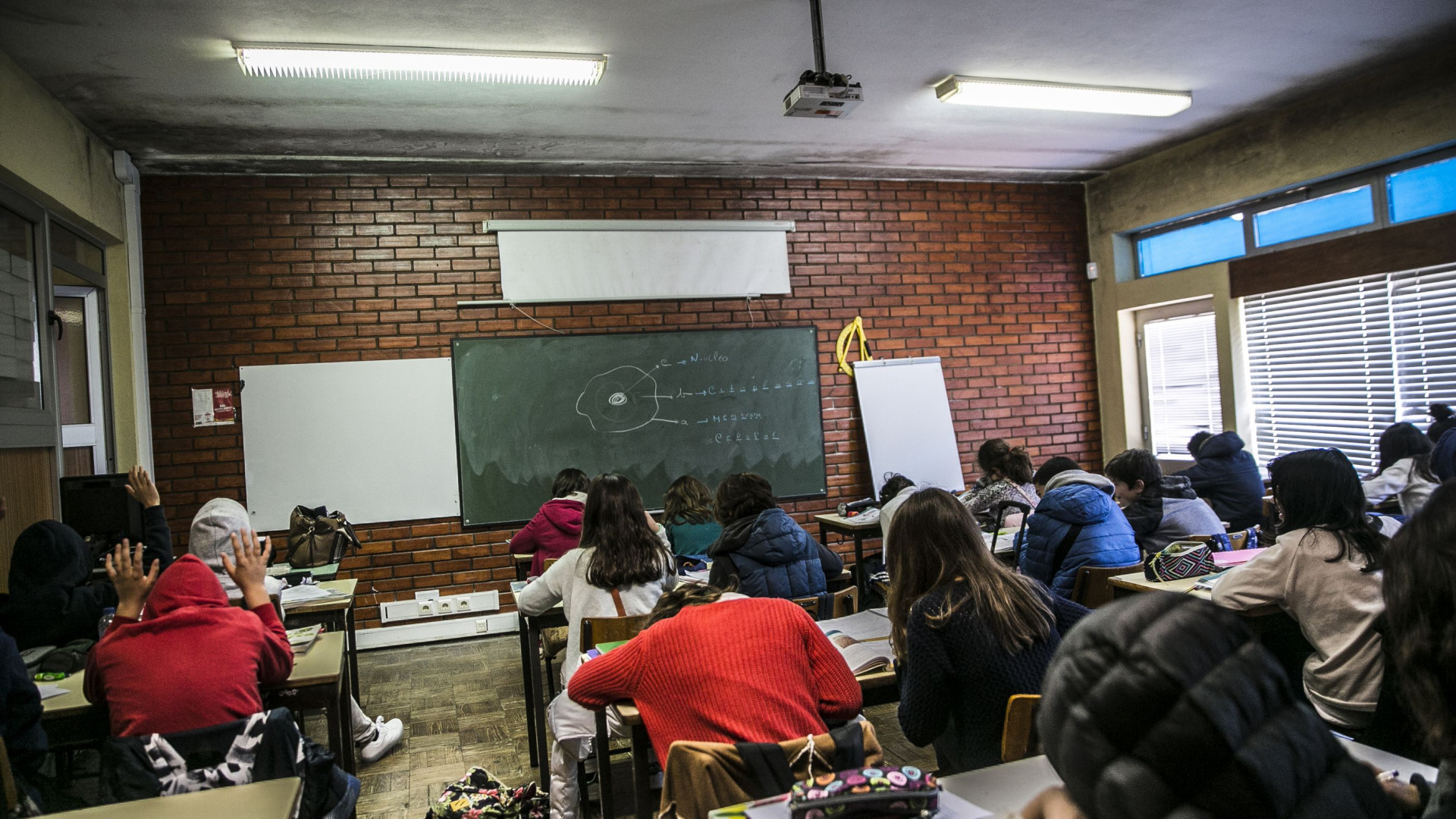 Próximo ano letivo arranca mais cedo e turmas vão ter menos alunos