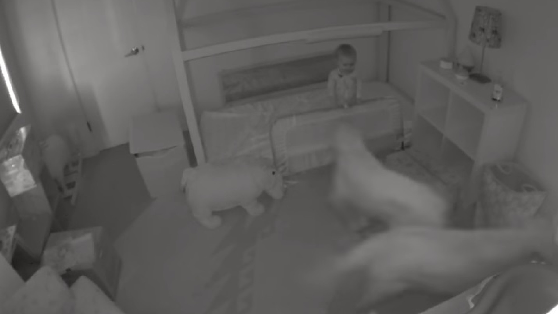Bebé consegue fugir da cama à noite com a ajuda dos seus... cães