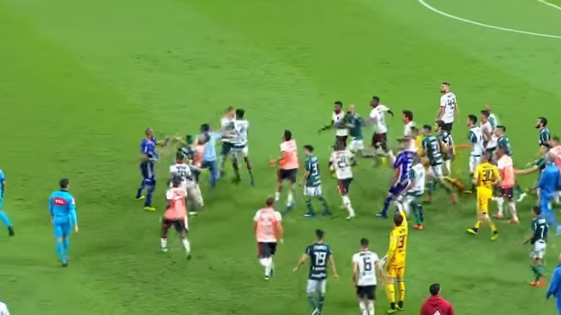 'Batalha campal' no Palmeiras-Flamengo termina com 6 expulsões