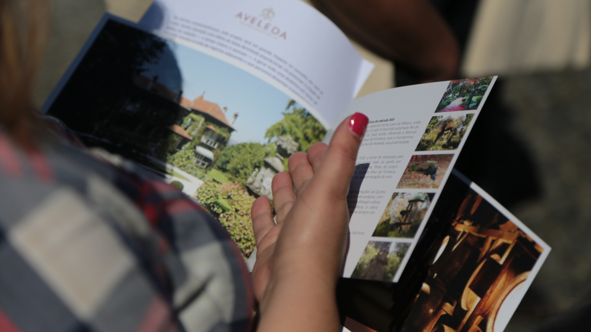 Aveleda investe sete milhões na região do Vinho Verde