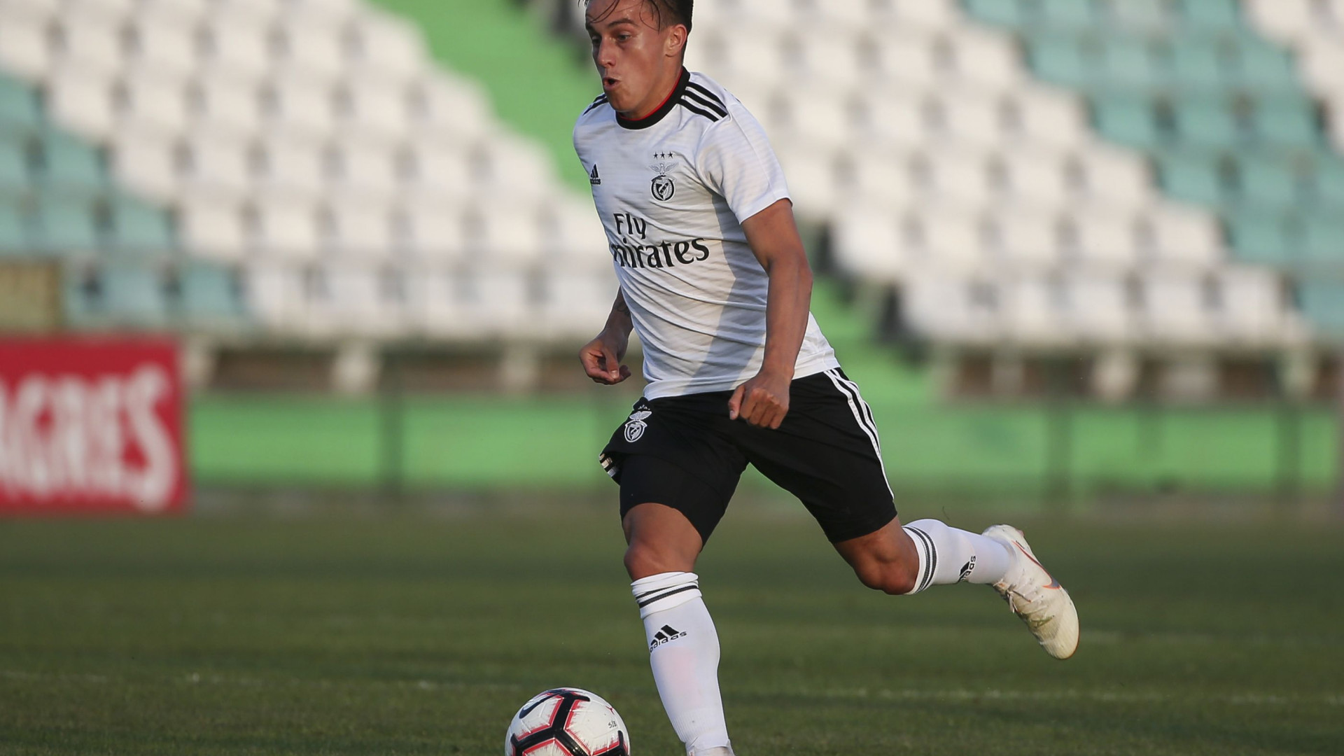 Cervi: "Estamos a trabalhar para que a equipa funcione bem"