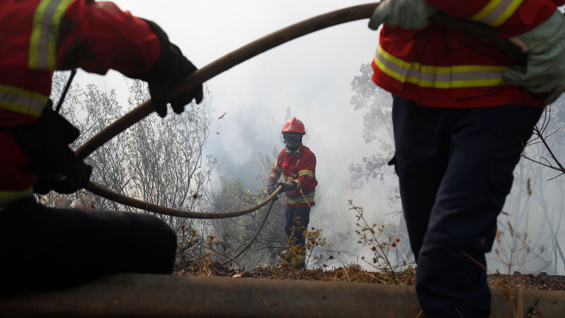 Energia elétrica reposta em 14 das 17 localidades afetadas em Monchique