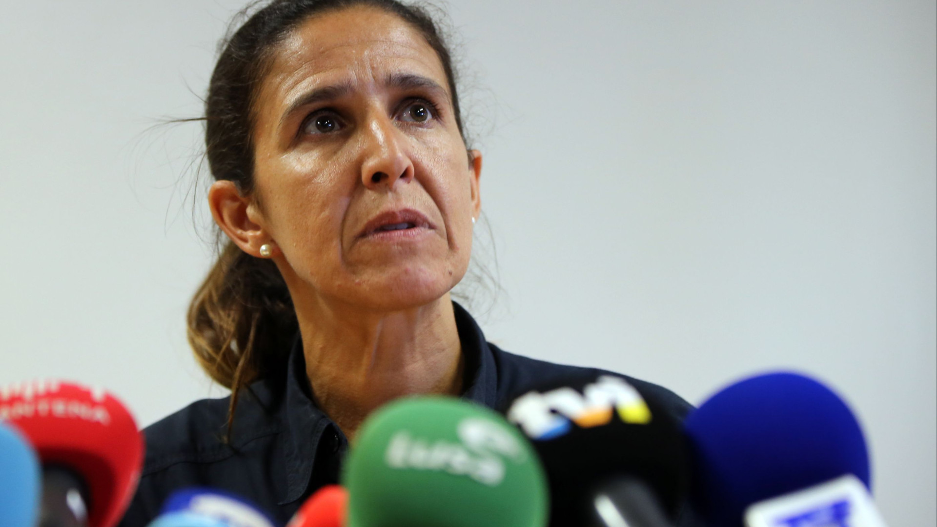 "Vento vai favorecer a progressão do incêndio durante esta noite"