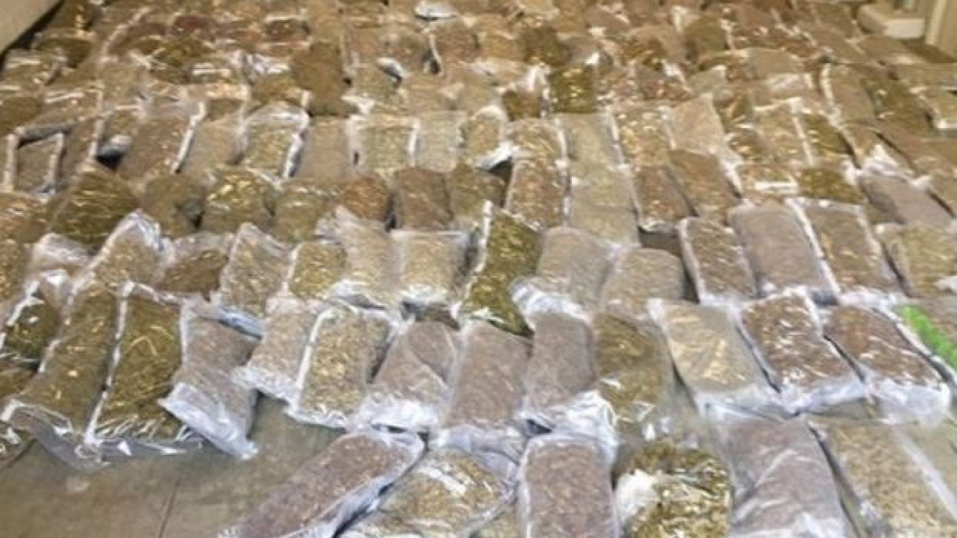 Marijuana no valor de um milhão de dólares descoberta dentro de alfaces