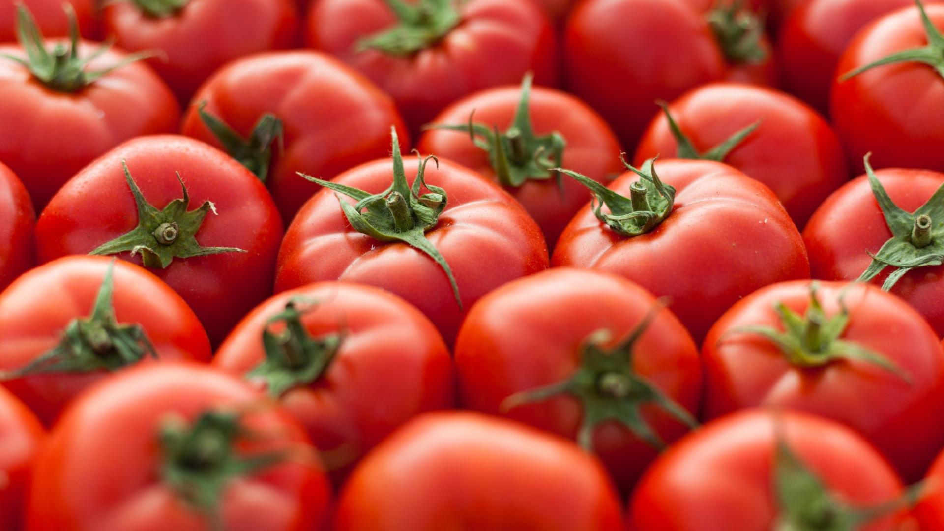 Camião com cebolas e tomates escondia 400 quilos de cocaína e heroína