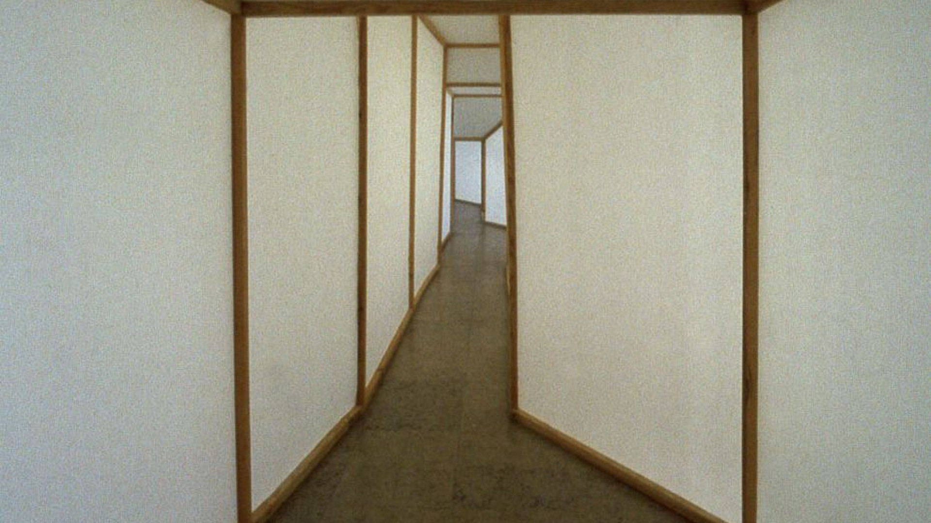 Centro de Artes Visuais, em Coimbra, acolhe exposição sobre Ana Vieira