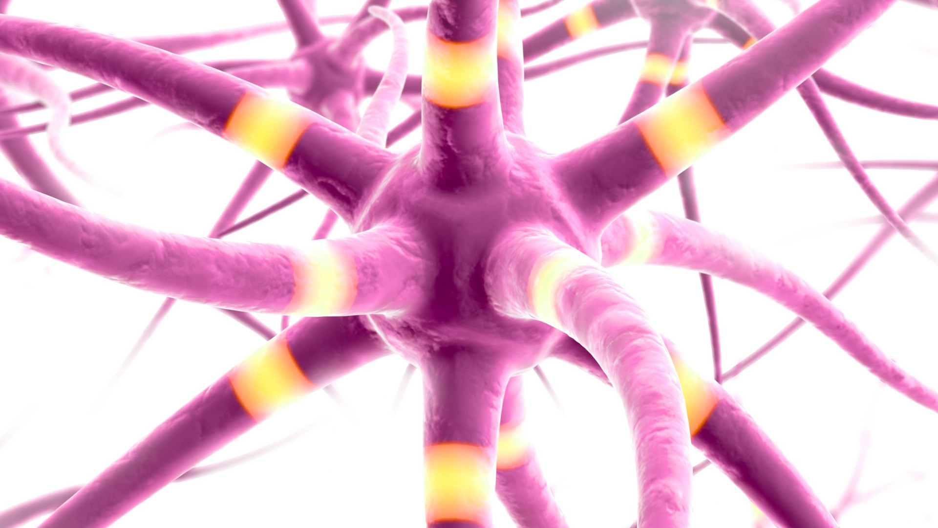 Inovação muda vida de doentes com #Esclerose Múltipla