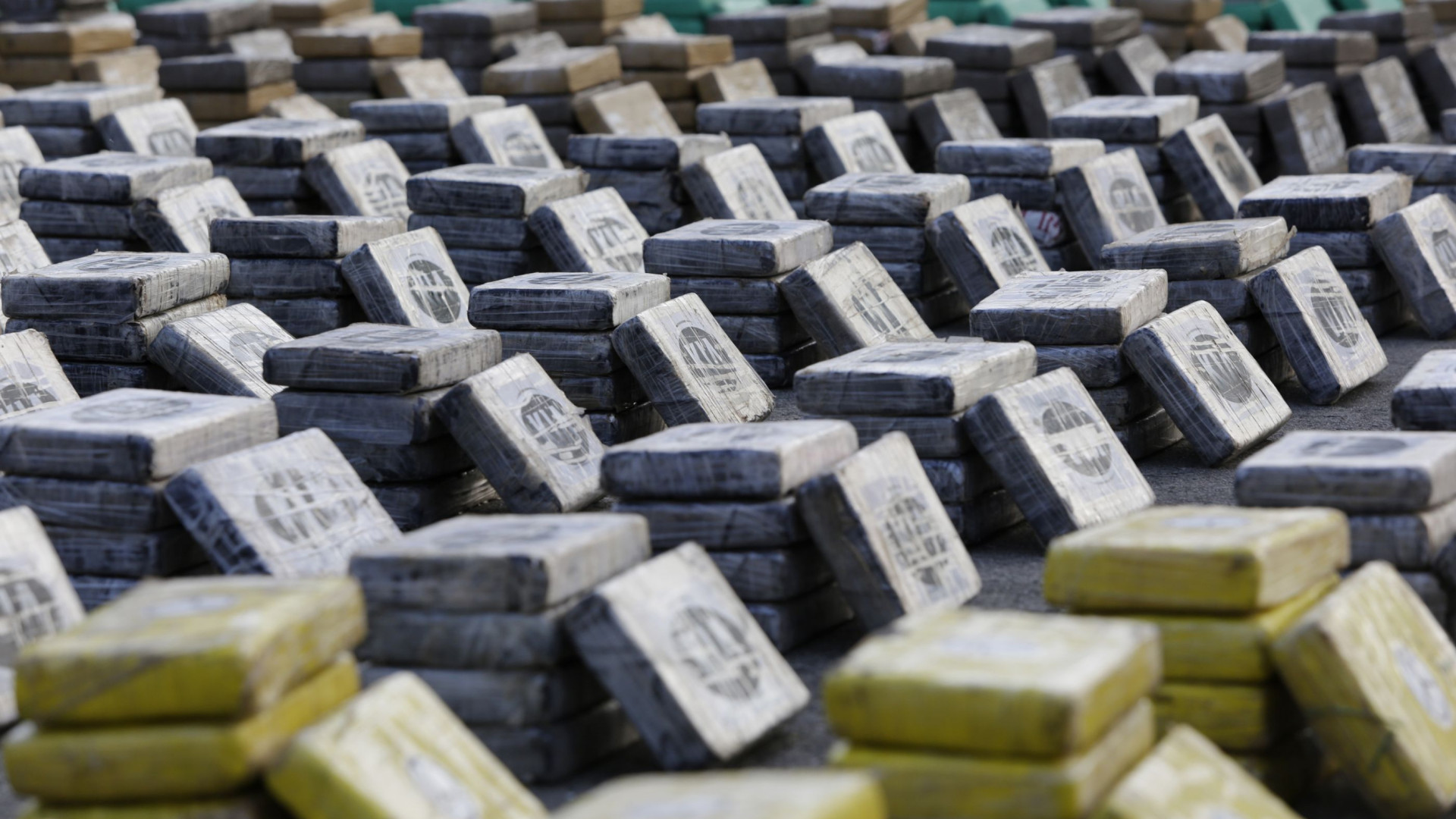 Apanhado fornecedor de droga de Lisboa. Tinha 38 mil euros e 30 mil doses