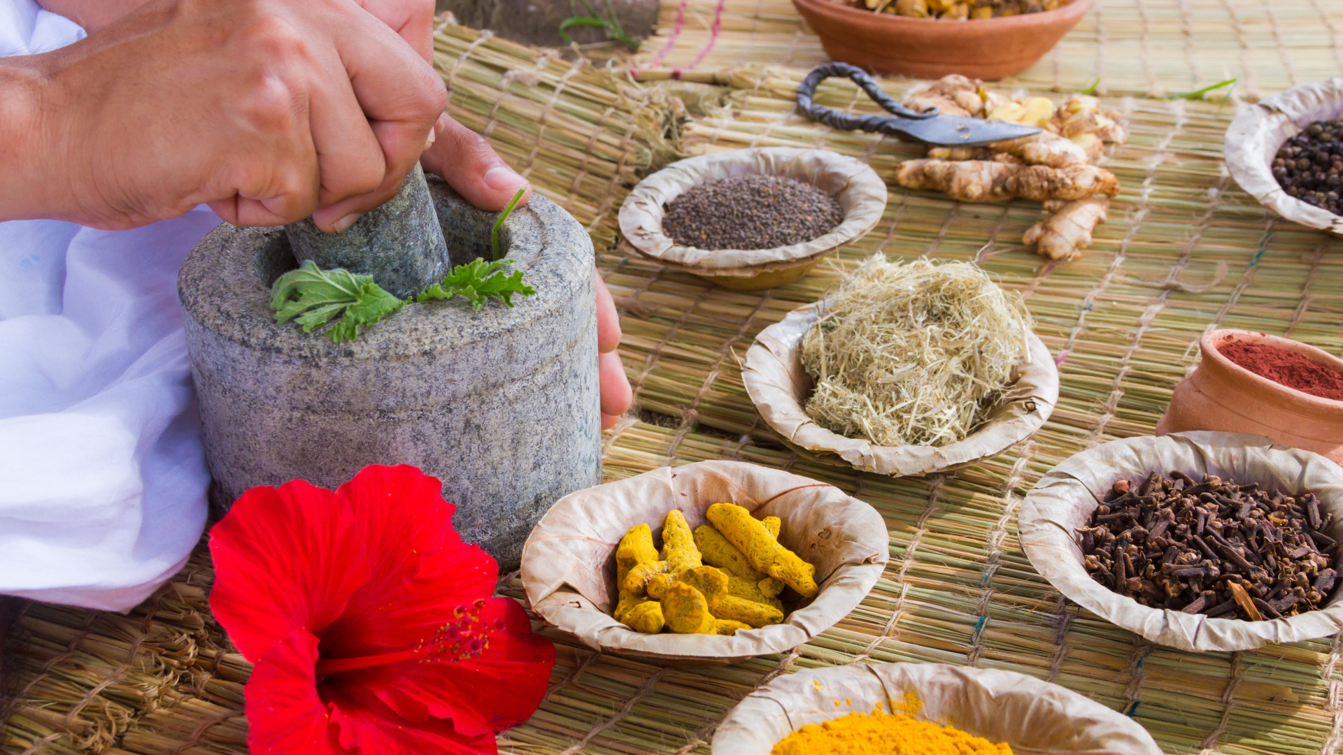Este mês, há workshops sobre ayurveda no Museu do Oriente