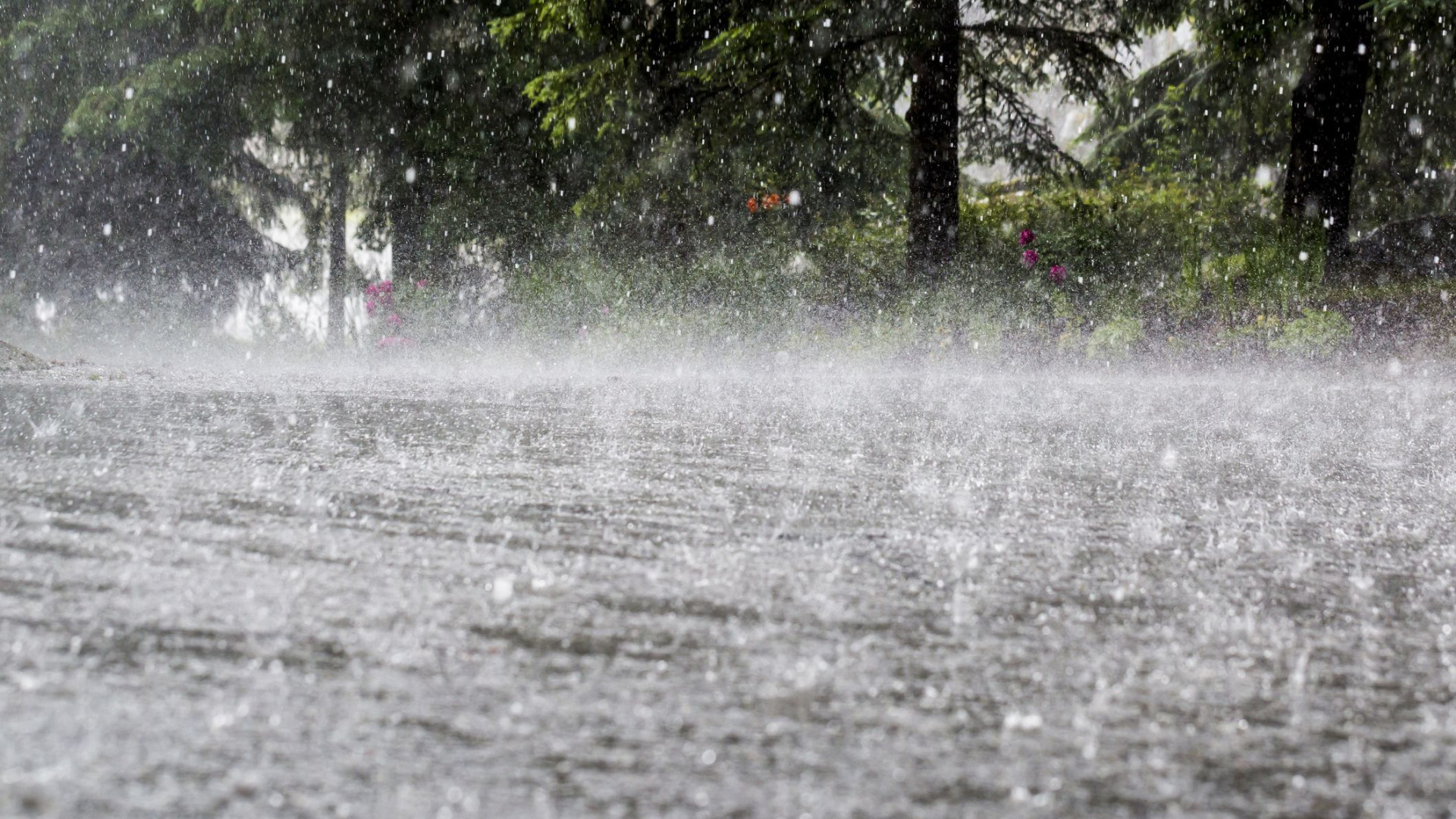 Agricultores podem ficar com "corda na garganta" devido à falta de chuva