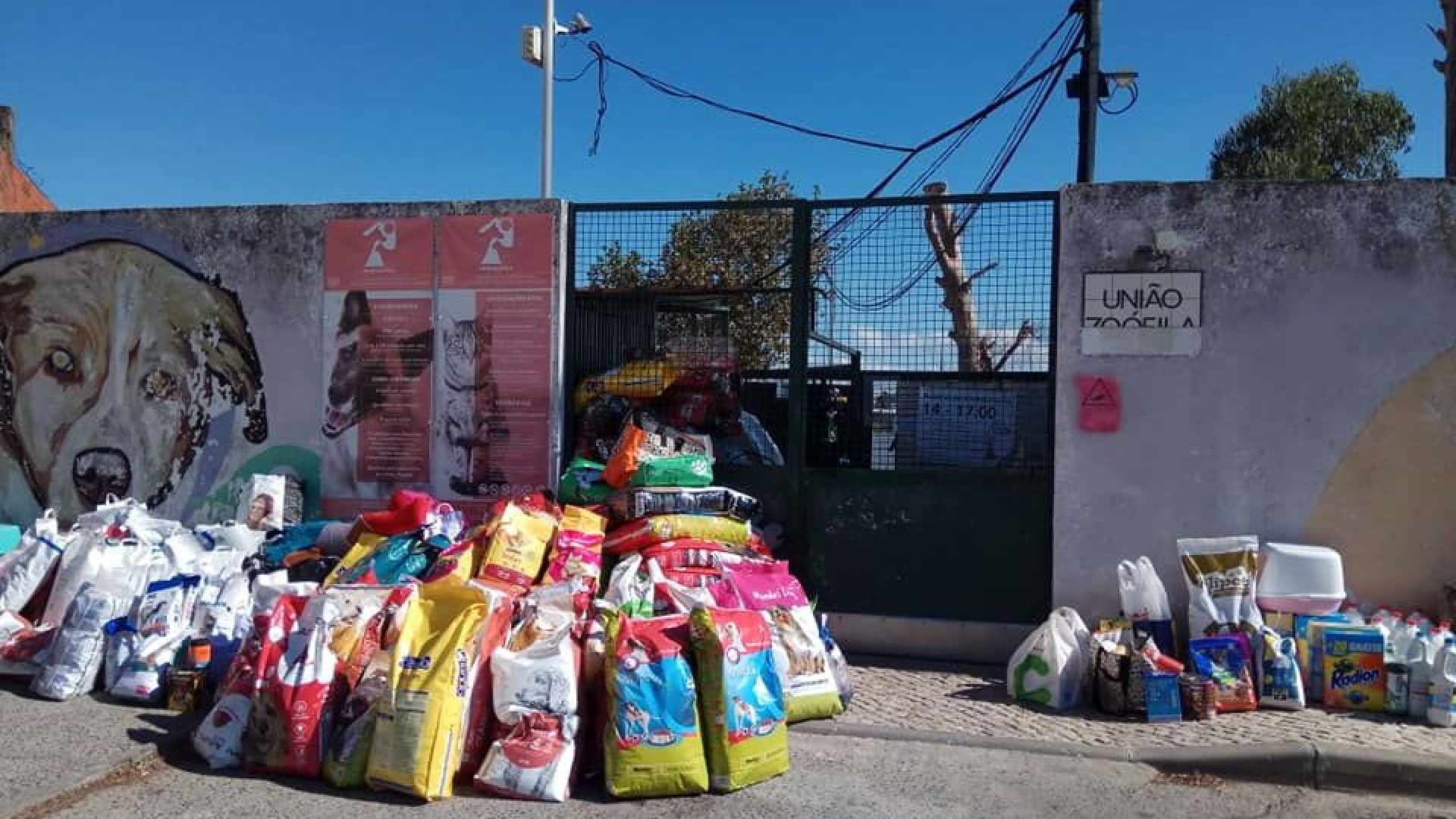 Depois de apelo, União Zoófila partilha "extraordinários gestos de apoio"