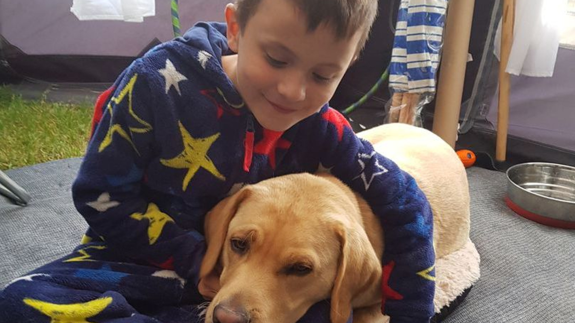 Cão muda vida de menino autista que tinha medo de sair de casa