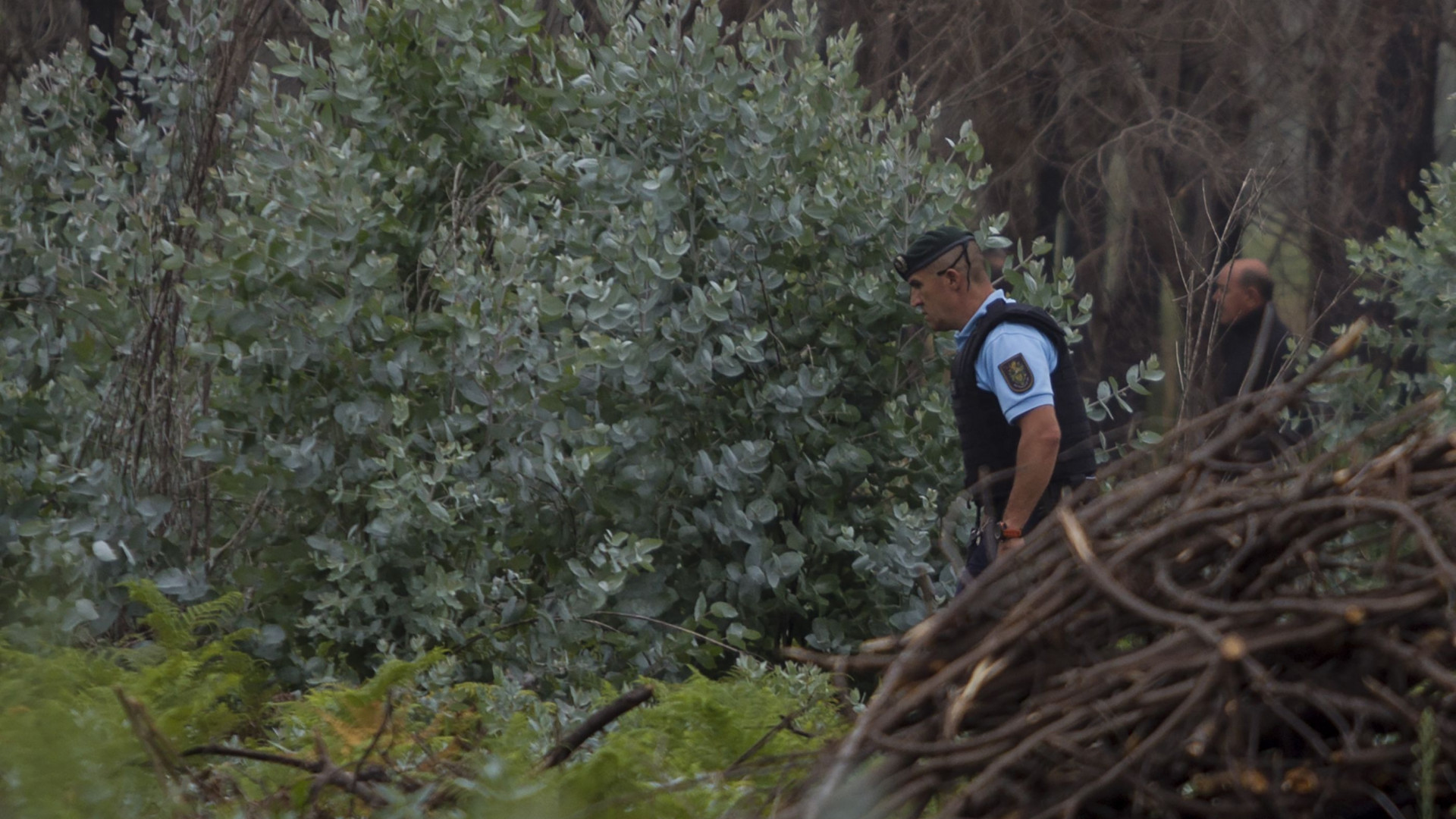 Idosa desaparecida em Penacova. Buscas decorrem em terra e no rio