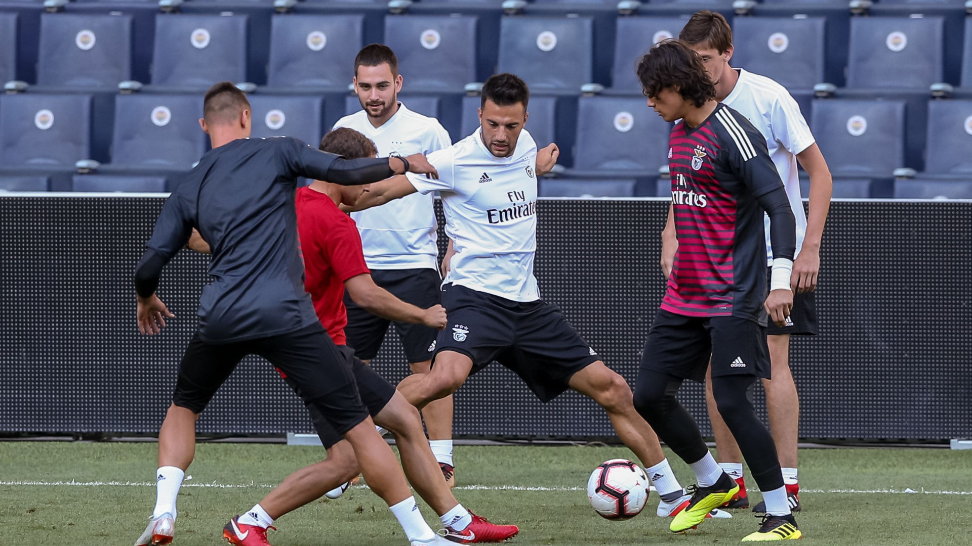 Samaris e a falta de minutos no Benfica: "Treino todos os dias no duro"