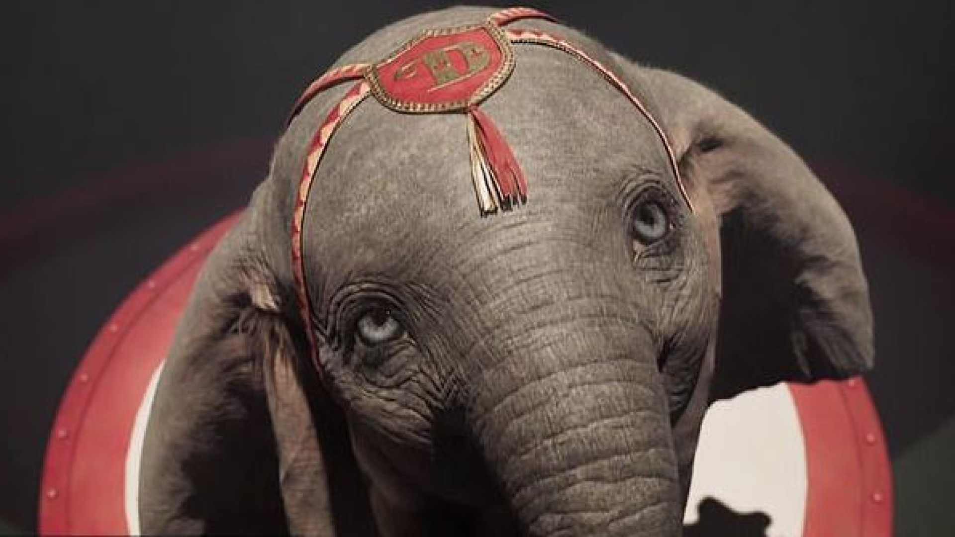 Novo trailer mostra mais um bocadinho de 'Dumbo', assinado por Tim Burton