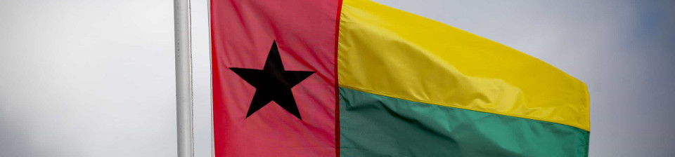 Ex-secretário de Estado da Guiné-Bissau libertado após uma semana preso