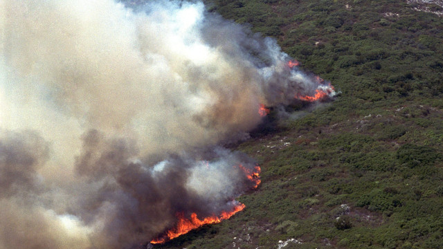 Fogo em área de mato no Parque Natural da Arrábida