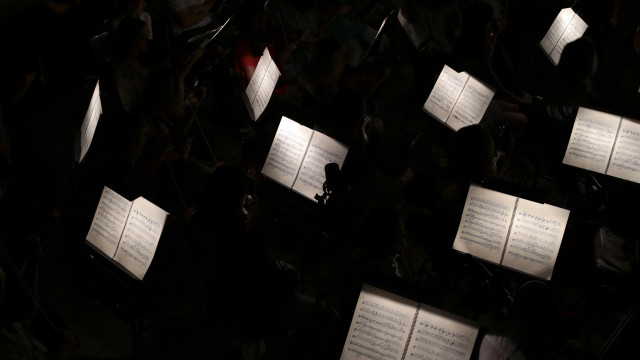 Nova temporada de orquestra europeia com 22 músicos portugueses