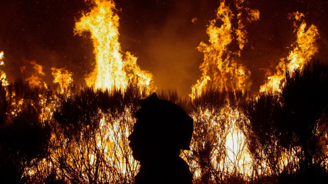 Aprovada carreira de guarda-florestal e GIPS para unidade especial da GNR