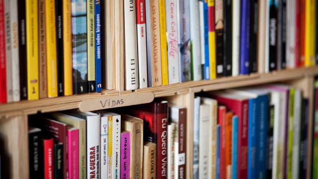 Ana Pessoa vence prémio de literatura infantil Maria Rosa Colaço