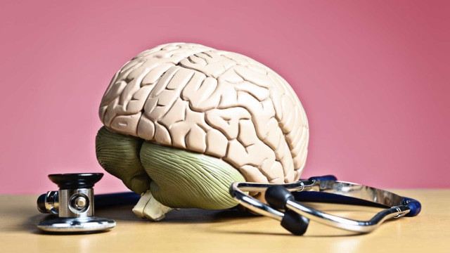 Cientistas sugerem que cerebelo está também ligado à atenção e decisão