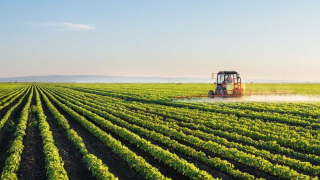 Aprovados mais de 14 mil projetos de investimento na área da agricultura