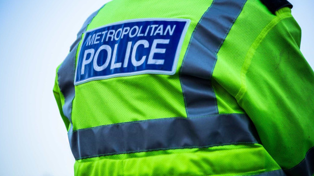 Foi espezinhado até à morte por manada de vacas enquanto passeava o cão