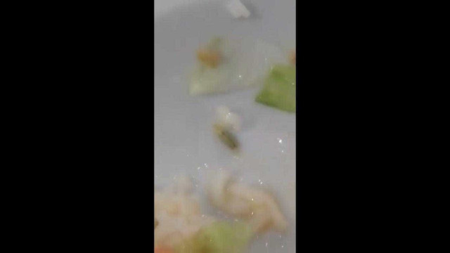 Aluna filma lagarta no prato. "Faltam funcionários", justifica escola