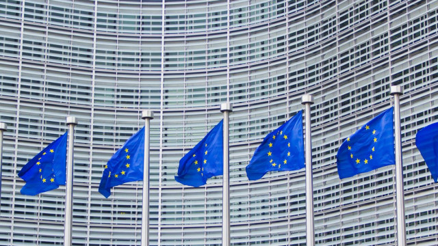 Eurodeputada do PSD eleita pelos Açores anuncia que não se recandidata