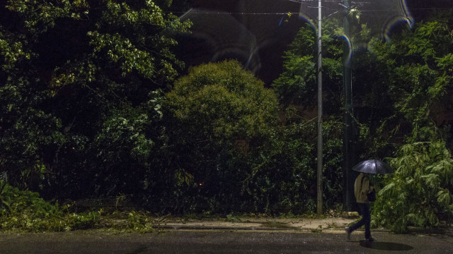 EDP diz que número de habitações sem energia está abaixo das 2.000