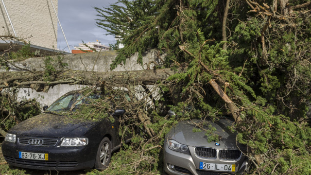 MAI garante que quadro de apoio vai ajudar a fazer face aos prejuízos