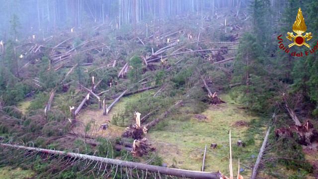 Tempestades em Itália causaram já 17 mortos e milhões de árvores caídas