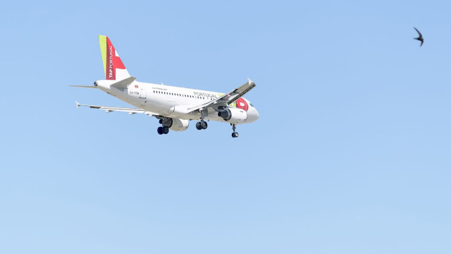 Dois novos Airbus A330-900neo da TAP já se estrearam em voos comerciais