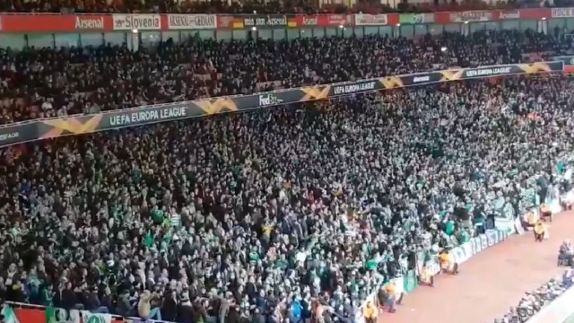 Impressionante: Adeptos do Sporting deixam ingleses surpreendidos